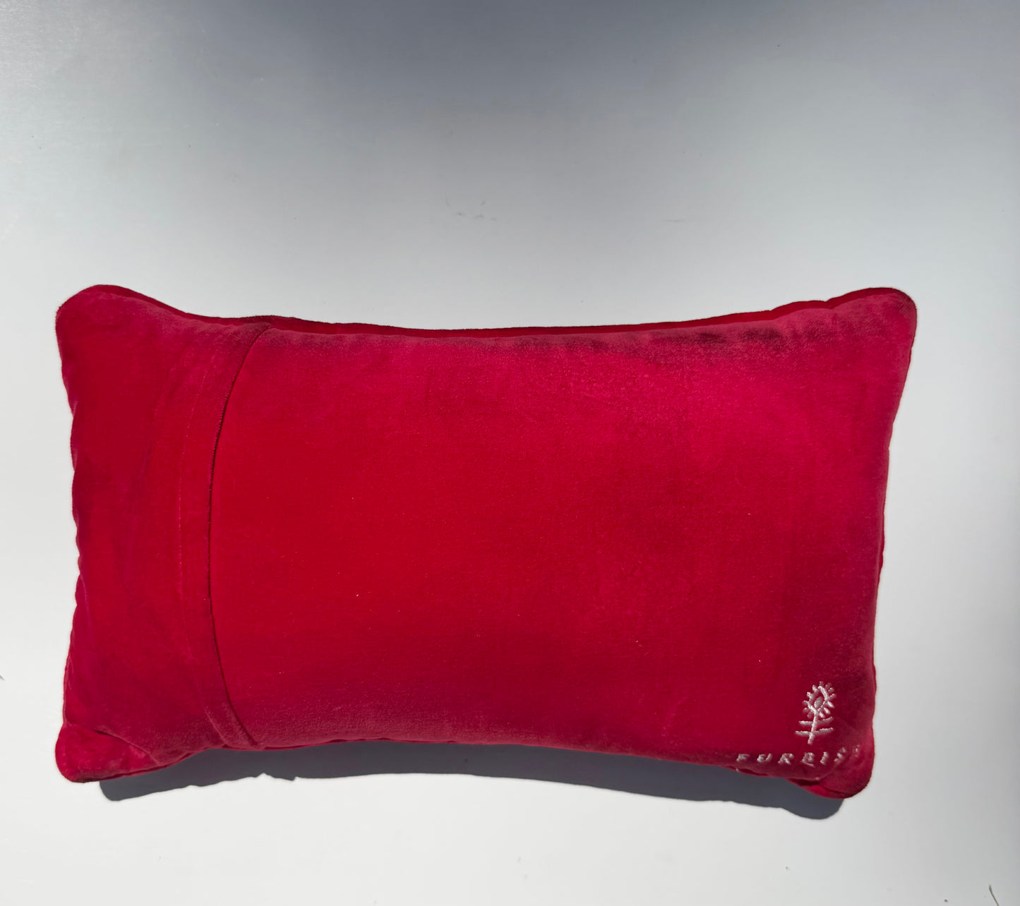 FIRE SALE - Control Freak Needlepoint Pillow